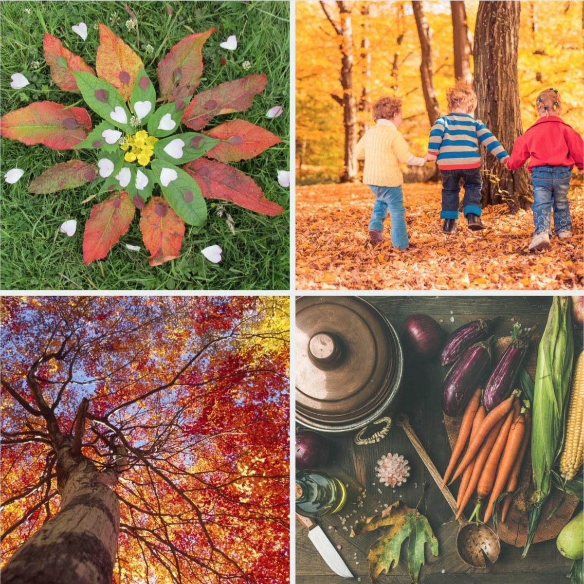 Autumnal ideas for children